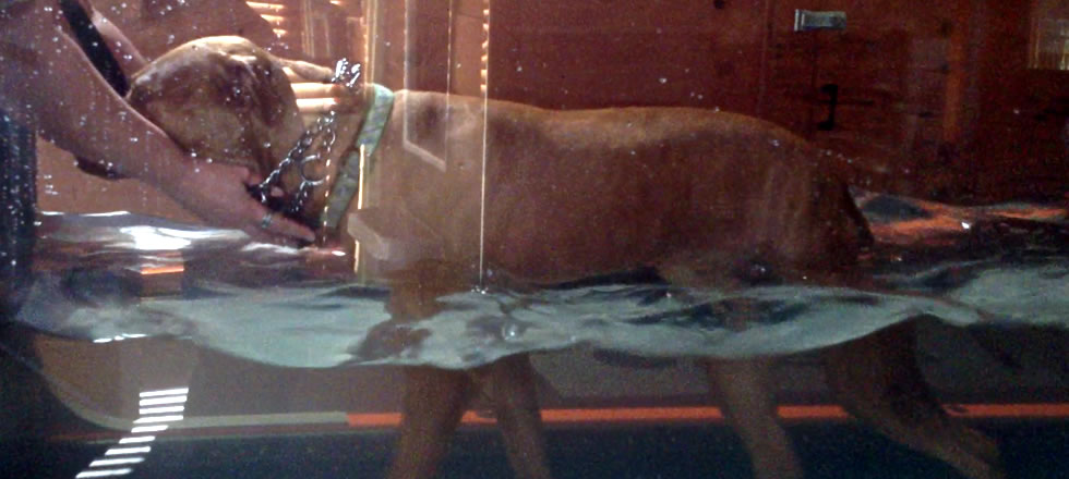 Hydrotherapy
