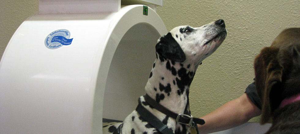 Pulsed Signal Therapy