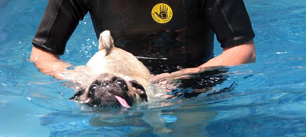 Swim Therapy