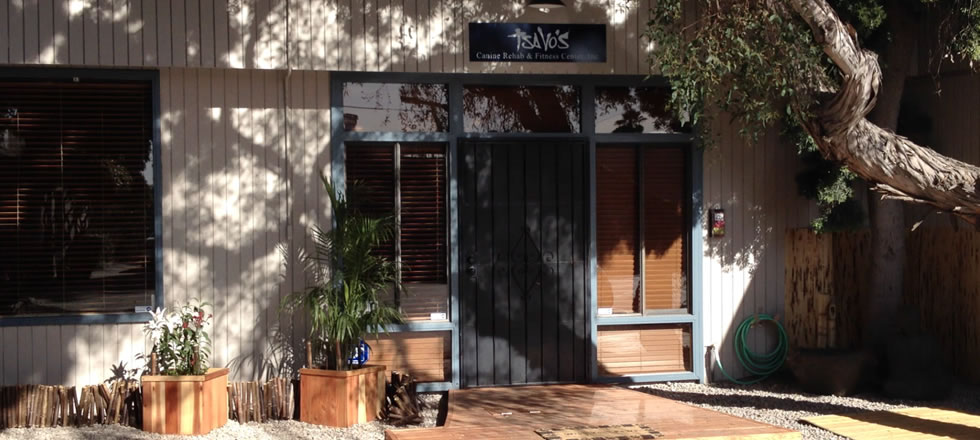 Our New Facility