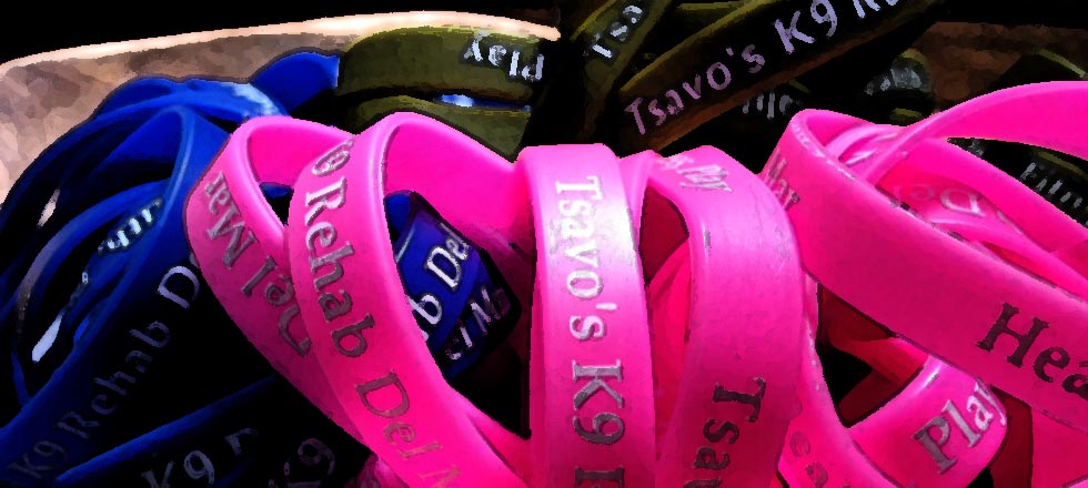 Tsavo’s Wrist Bands