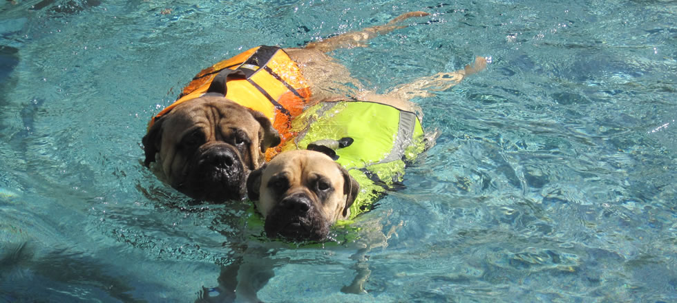 Hydro Therapy 1